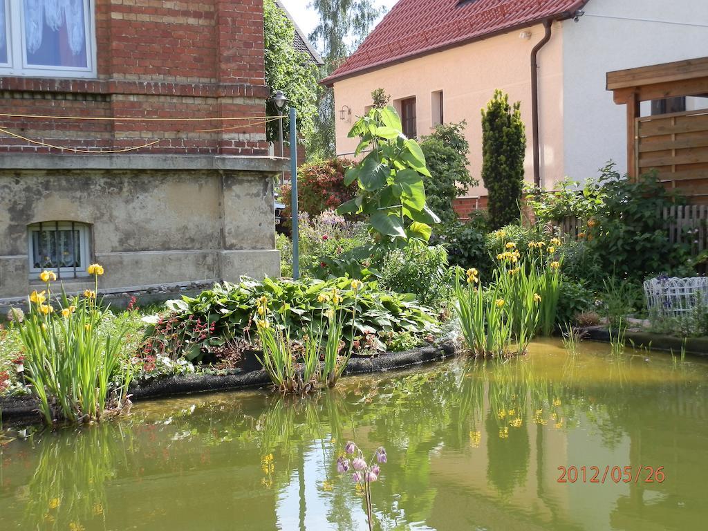 Ferienwohnung Fedler Blankenburg  Kamer foto